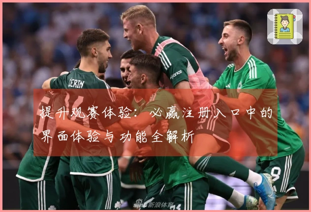 提升观赛体验：必赢注册入口中的界面体验与功能全解析