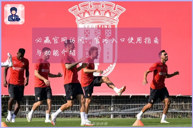 必赢官网访问：官方入口使用指南与功能介绍