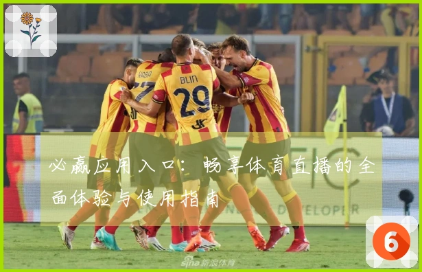 必赢应用入口：畅享体育直播的全面体验与使用指南