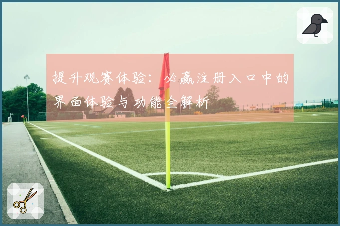 提升观赛体验：必赢注册入口中的界面体验与功能全解析